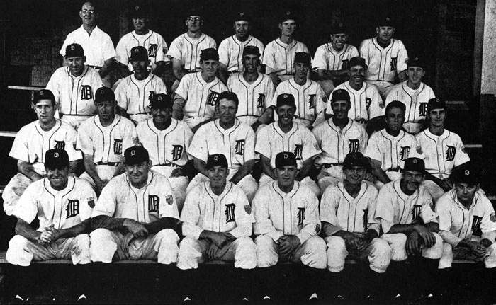 Cats, Dogs and 1968 tigers